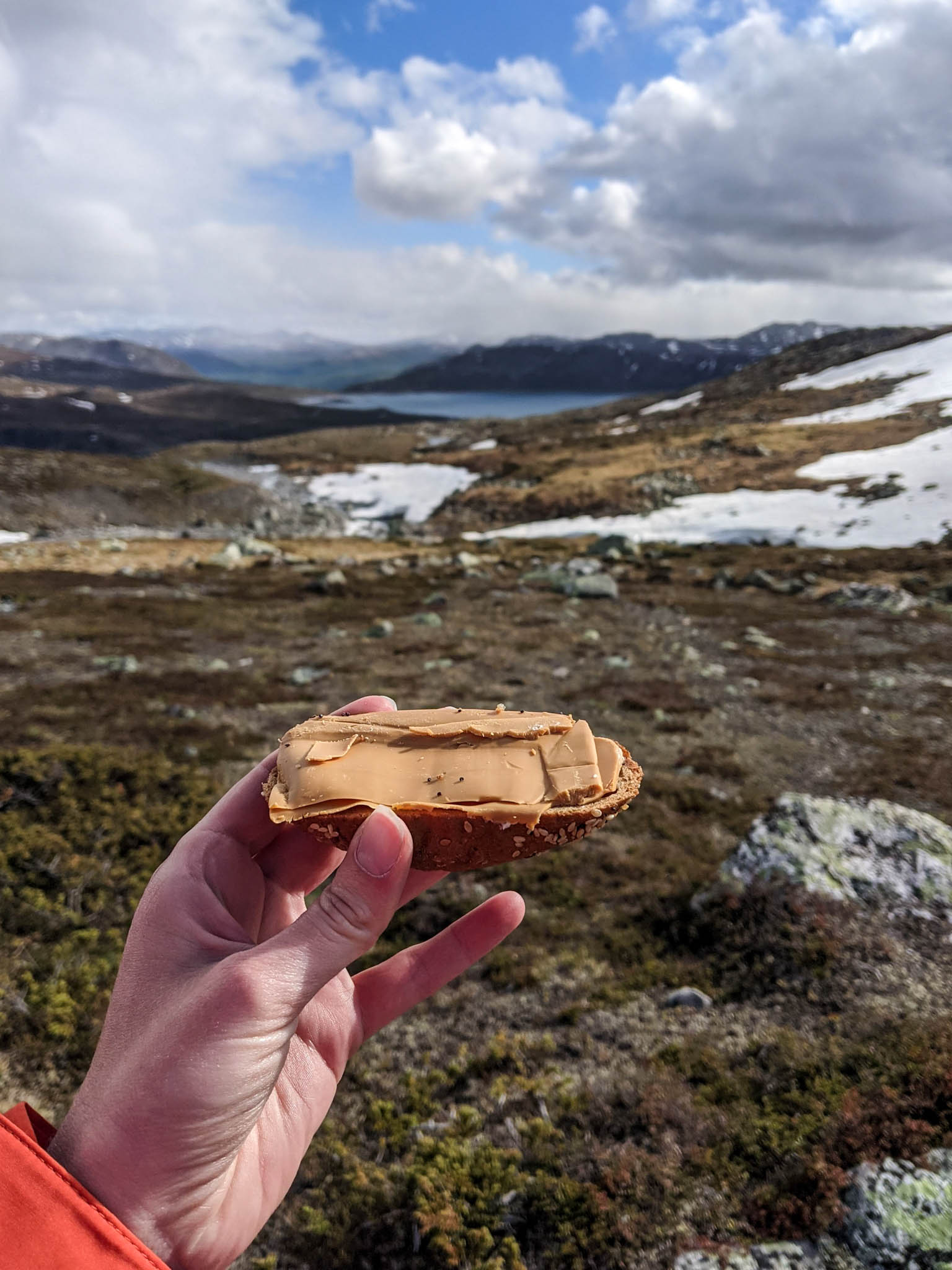 Brunost snack