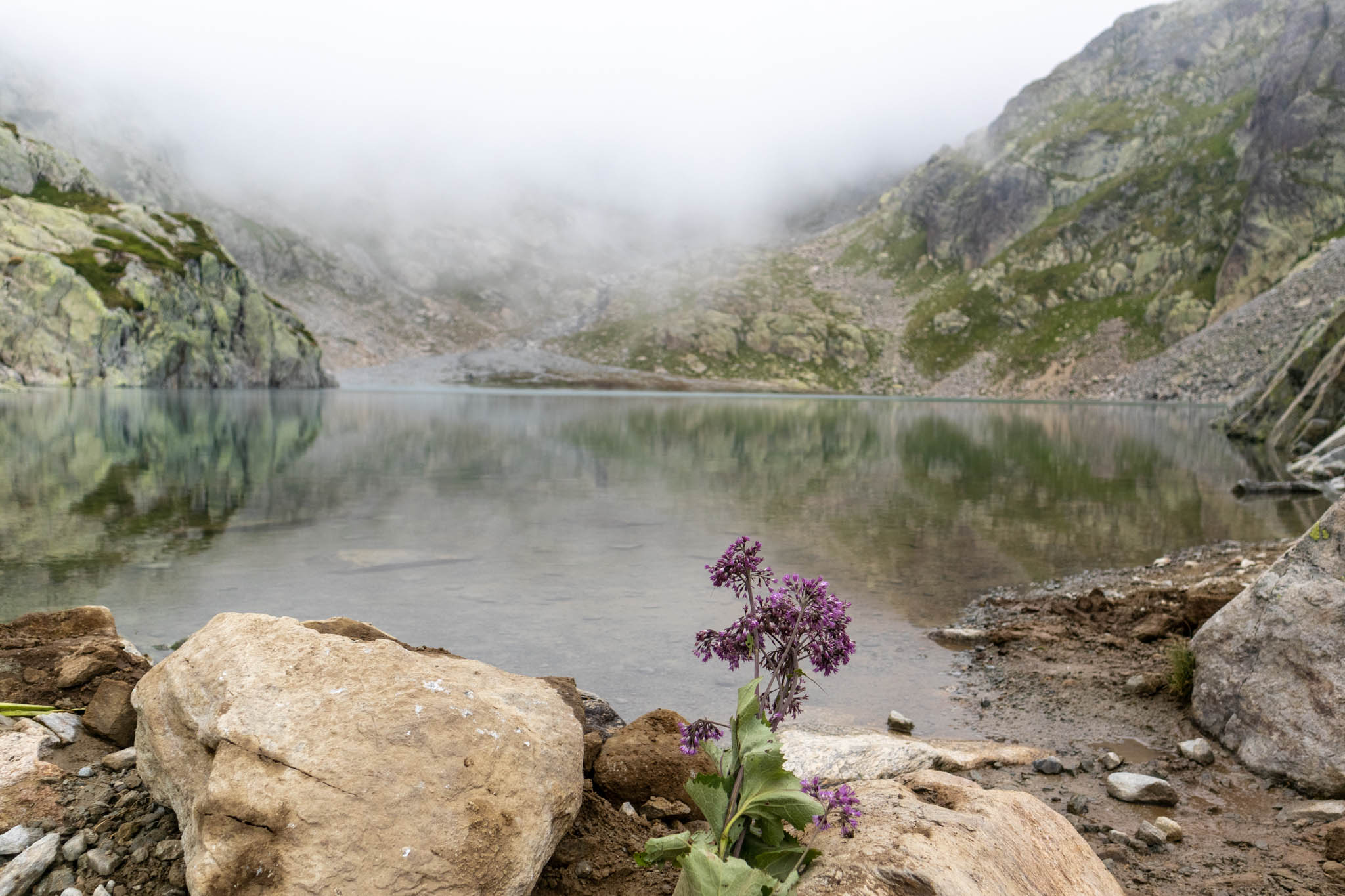 Lac Blanc