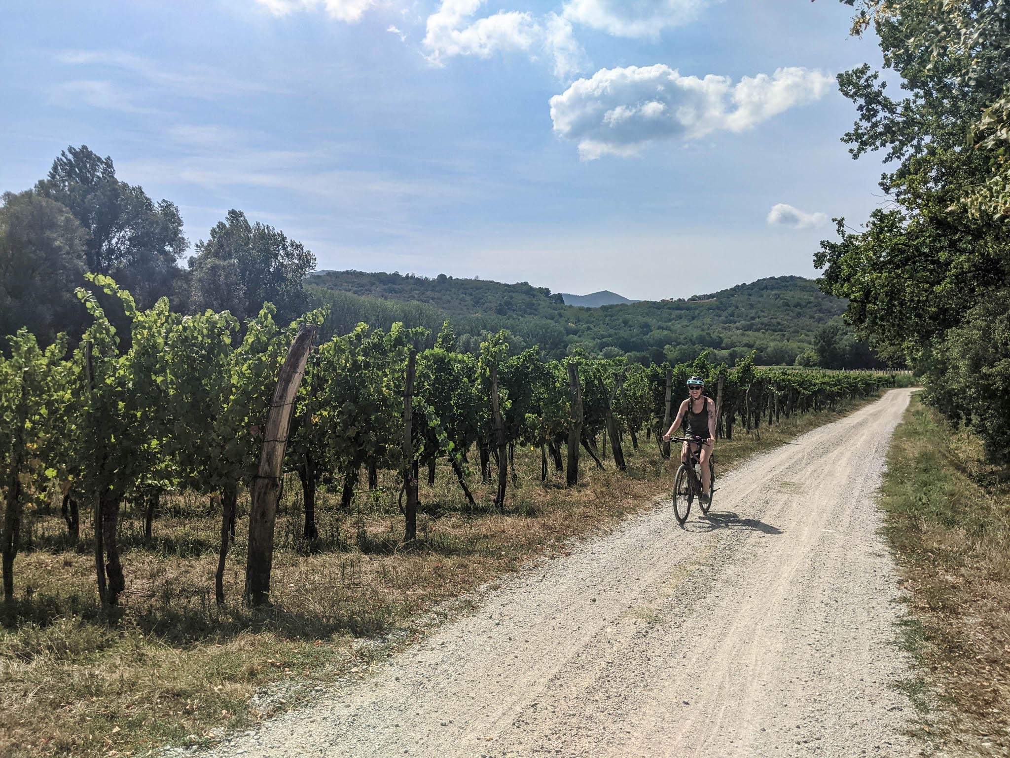 Cycling in the Vipava Valley