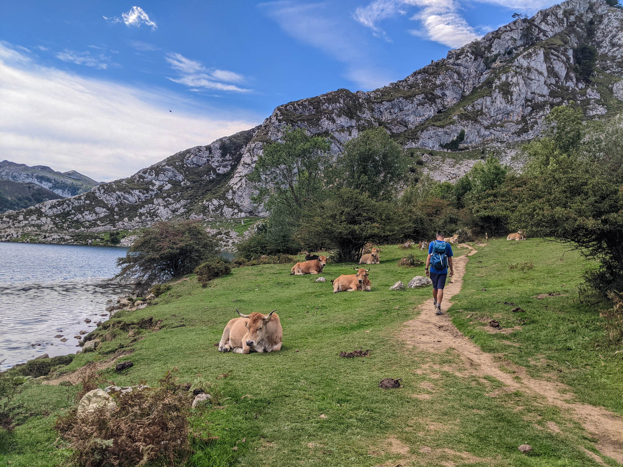 Lagos de Covadonga